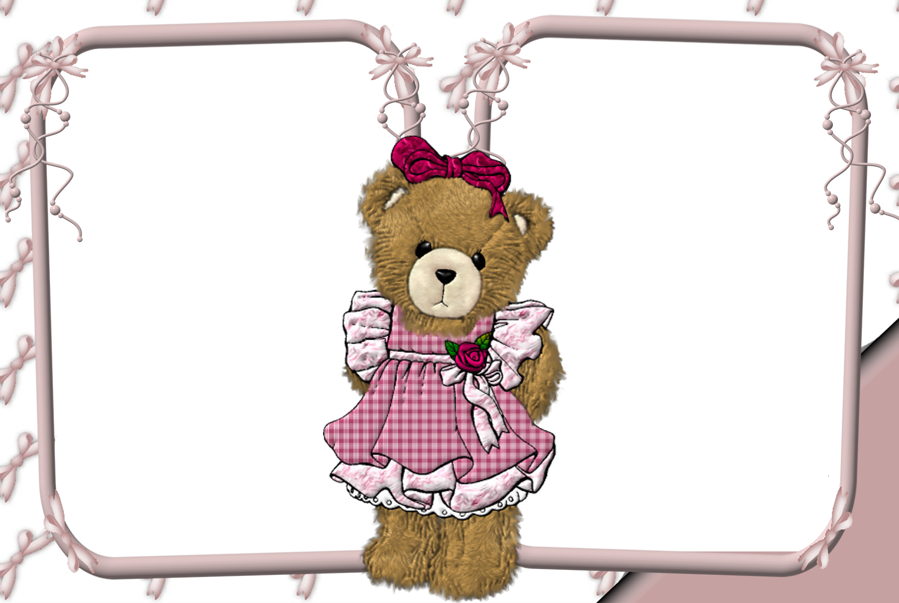 petits ours